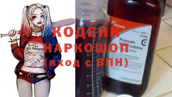индика Семёнов