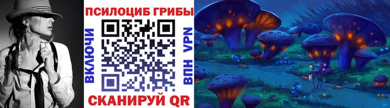 Псилоцибиновые грибы Psilocybe  купить наркоту  Крымск 